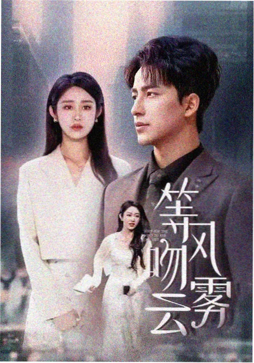 雾港往事剧集封面